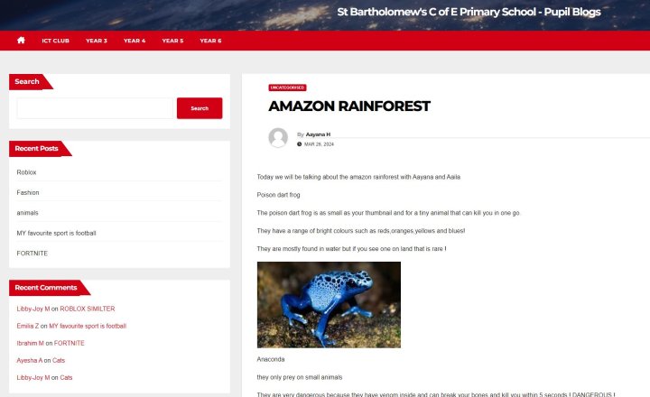 Image of Year 4 - Computing - WordPress Blogs
