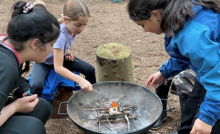 Image of Year 5 (Class 12 & Class 14) - Lineham Farm - Bushcraft
