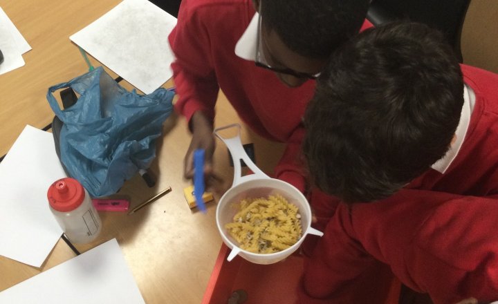 Image of Year 5 (Class 12) - Science - Separating Materials