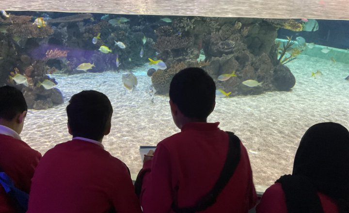 Image of Year 5 (Class 12) - Science - The Deep Trip