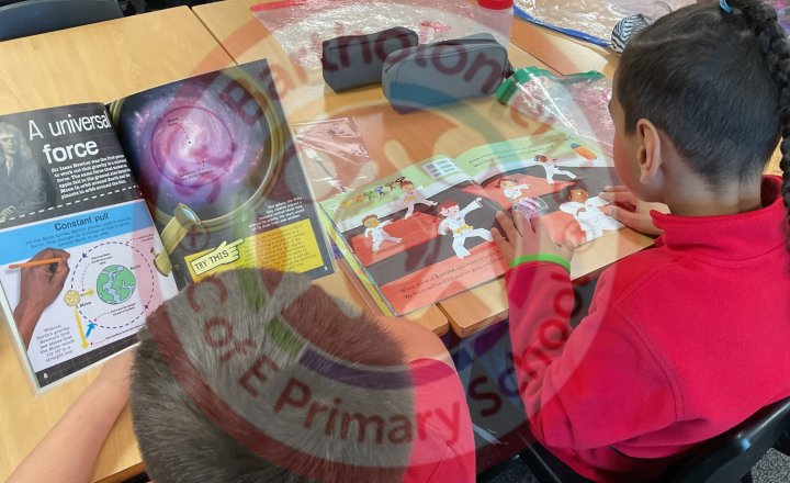 Image of Year 5 (Class 13) - English - Library Books & Reading