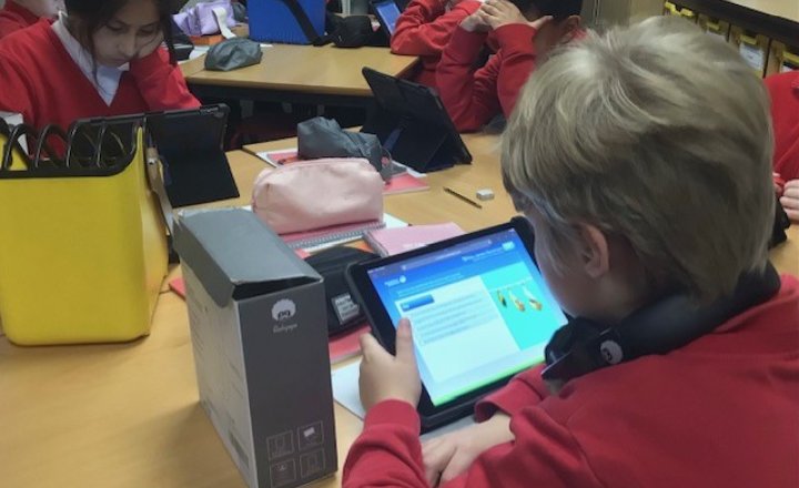 Image of Year 5 (Class 13) - Reading Plus
