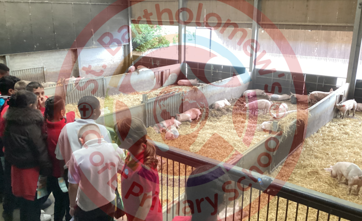 Image of Year 5 (Class 13) - Science - Cannon Hall Farm Trip