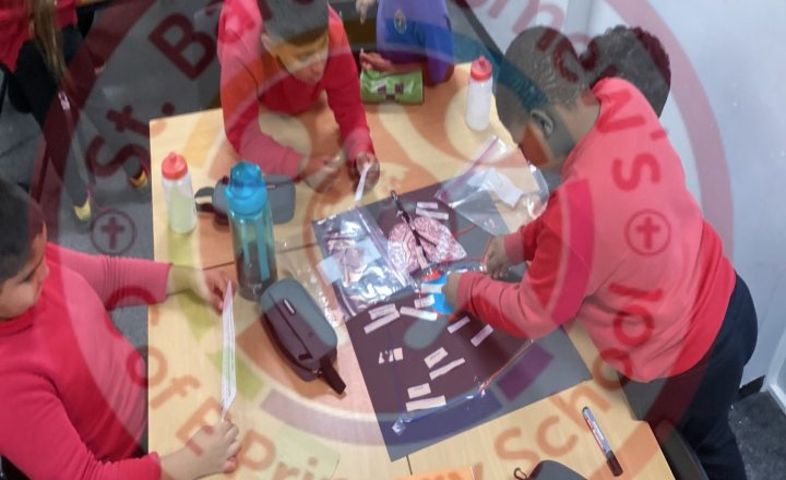 Image of Year 5 (Class 13) - Science - Labelling Heart Models