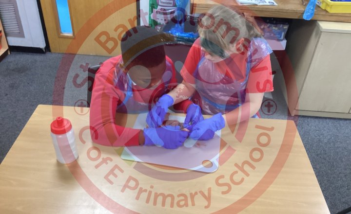 Image of Year 5 (Class 13) - Science - Lamb's Heart Dissection