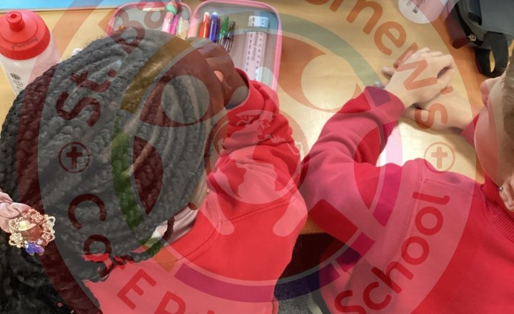 Image of Year 5 (Class 13) - Science - The Circulatory System