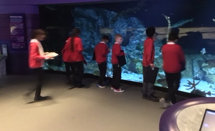Image of Year 5 (Class 13) - Science - Trip to The Deep