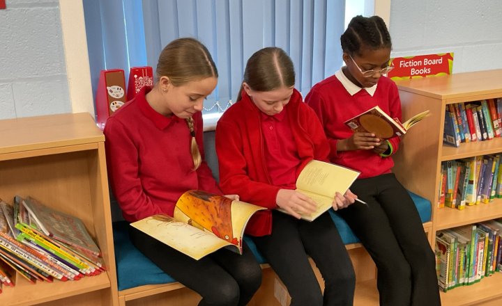 Image of Year 5 (Class 14) - Library Session