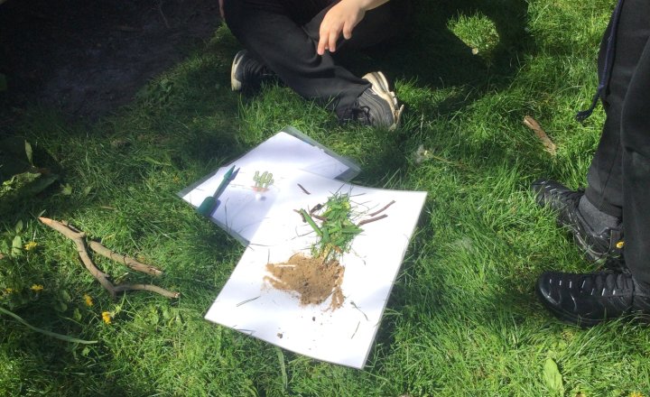 Image of Year 6 (Class 14) - Science - The School Wildlife Garden