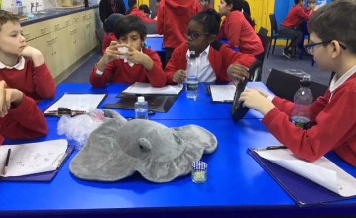Image of Year 5 (Class 14) - Science - Trip to the Deep