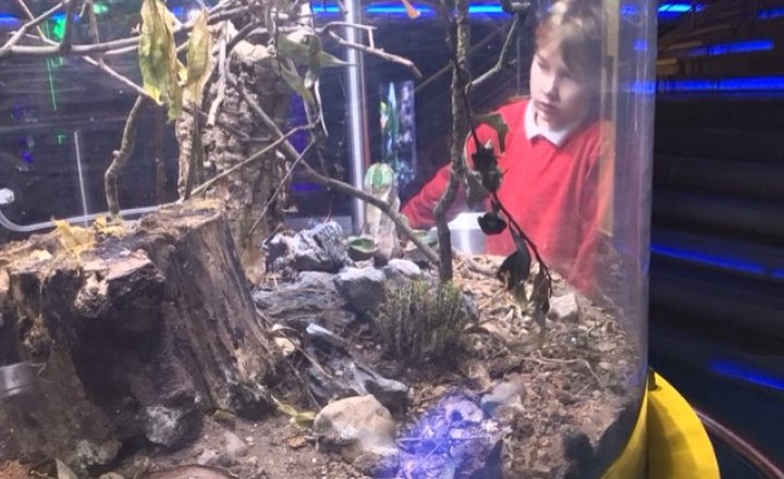 Image of Year 5 (Class 15) - Science - Trip to The Deep