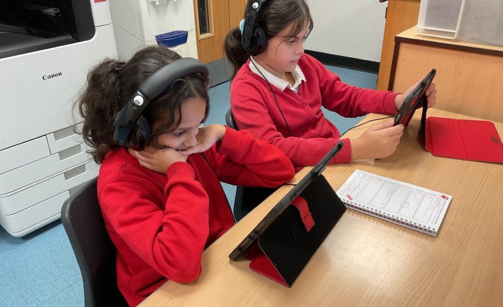 Image of Year 5 - English - Reading Plus Work