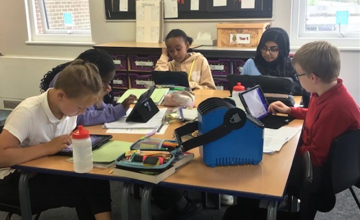 Image of Year 5 - PSHE - My Health My School Survey