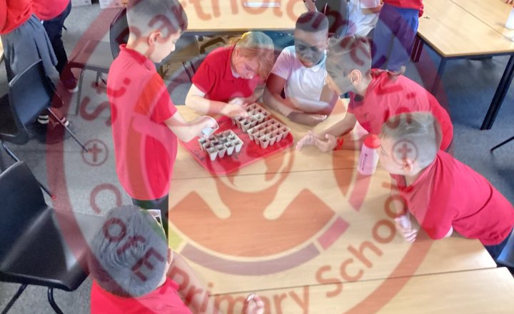 Image of Year 6 (Class 13) - History - World War 2 (Dig for Victory)