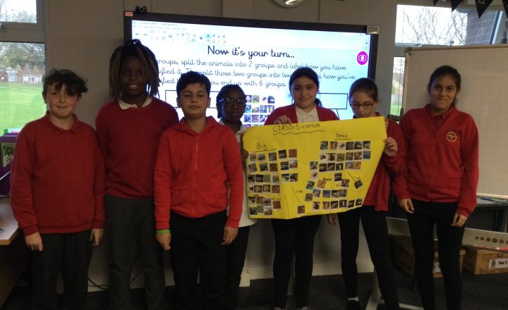Image of Year 6 (Class 14) - Oracy & Science - Classification of Living Things