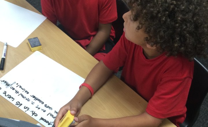 Image of Year 6 (Class 14) - Science & Oracy - The Circulatory System