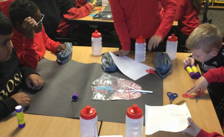 Image of Year 6 (Class 14) - Science - The Circulatory System Models
