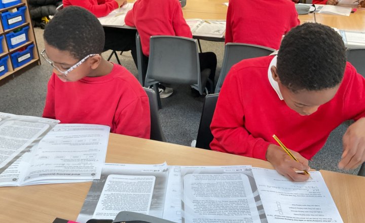Image of Year 6 (Class 15) - English - Reading Comprehension