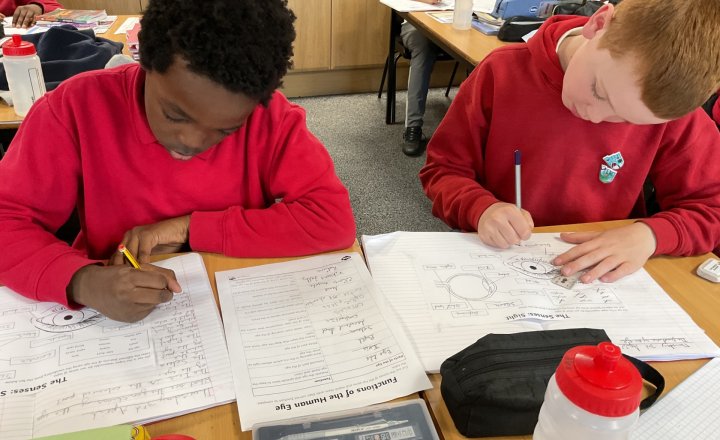 Image of Year 6 (Class 15) - Science - The Human Eye