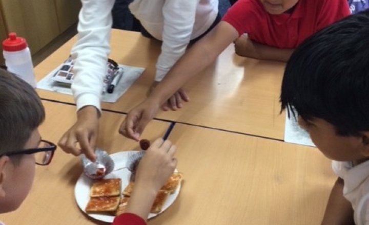 Image of Year 6 (Class 16) - Design Technology - Preserving Strawberries