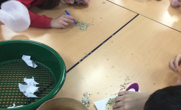 Image of Year 6 (Class 16) - Science - Filtering Techniques
