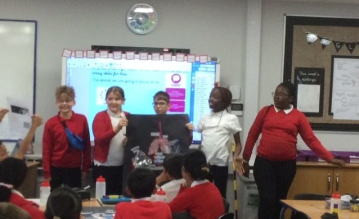 Image of Year 6 (Class 16) - Science - Our Circulatory System Models