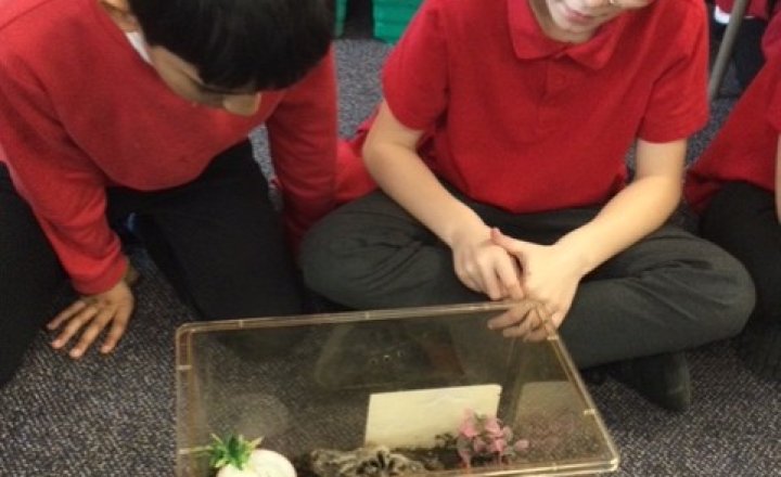 Image of Year 6 (Class 16) - Science - Science Week