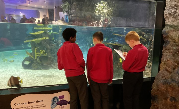 Image of Year 6 (Class 16) - Science - The Deep Trip