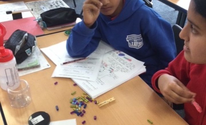 Image of Year 6 (Class 16) - Science - Finches on The Galápagos Islands