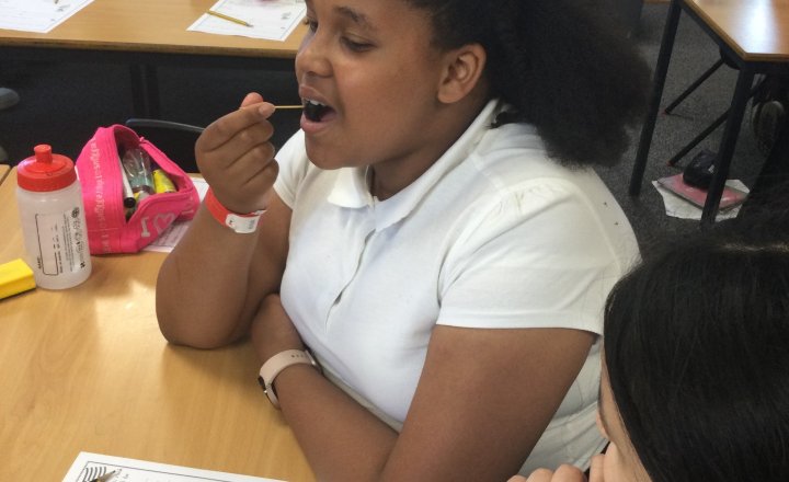 Image of Year 6 (Class 17) - Design Technology - Greek Food