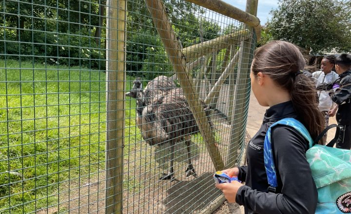 Image of Year 6 - Flamingo Land Trip - 12th June 2025