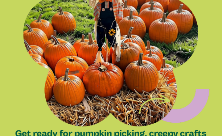 Image of Lineham Farm - Pumpkin Festival