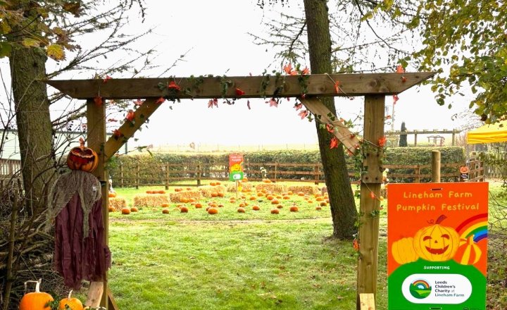 Image of Leeds Children's Charity at Lineham Farm - Halloween Event