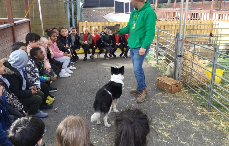 Image of Year 2 (Class 7) - Farm Visit