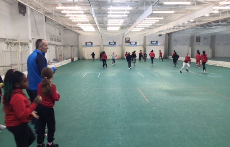 Image of Year 5 (Class 13) - Cricket in the Classroom
