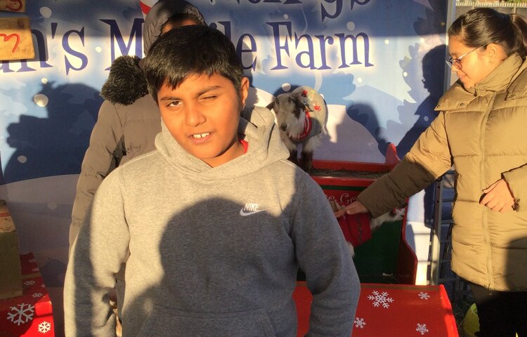 Image of Year 5 (Class 16) - Festive Farm