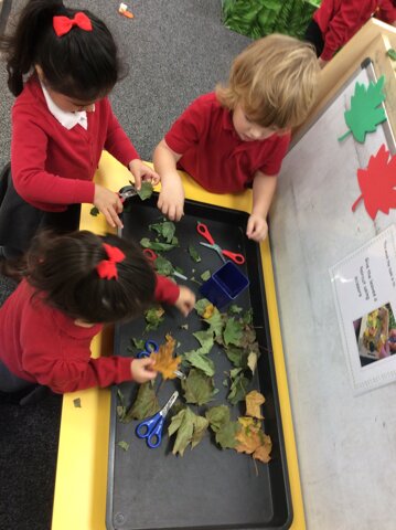 Image of Nursery - Learning about Autumn