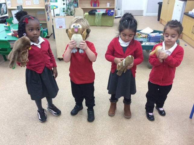 Image of Nursery - Learning about Owls