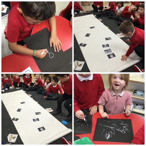 Image of Reception (Class 1) - What's Inside our Bodies?
