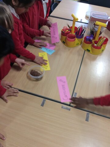 Image of Year 1 (Class 4) - Animal Diets