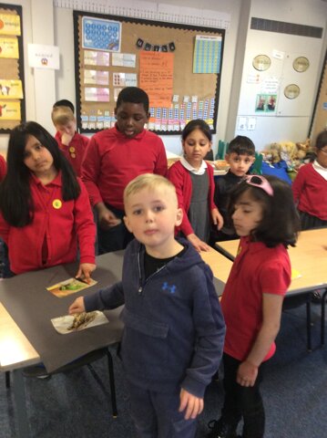 Image of Year 1 (Class 4) - Science - Animal Groups