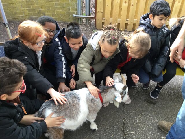 Image of Year 2 (Class 7) - Farm Visit