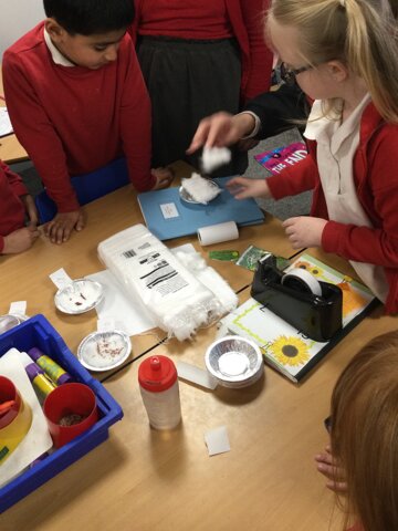 Image of Year 2 (Class 7) - Science - Testing Environments