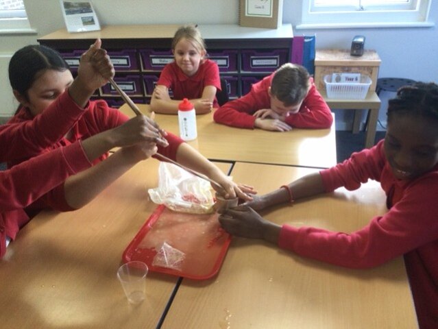 Image of Year 6 (Class 16) - Science - The Digestive System