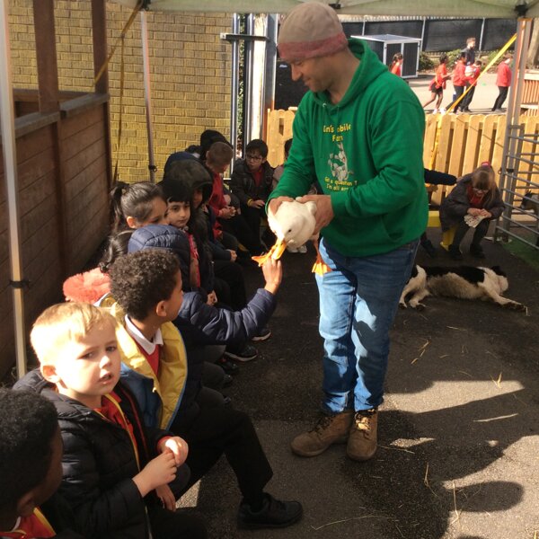 Image of Year 1 (Class 4) - Farm Visit