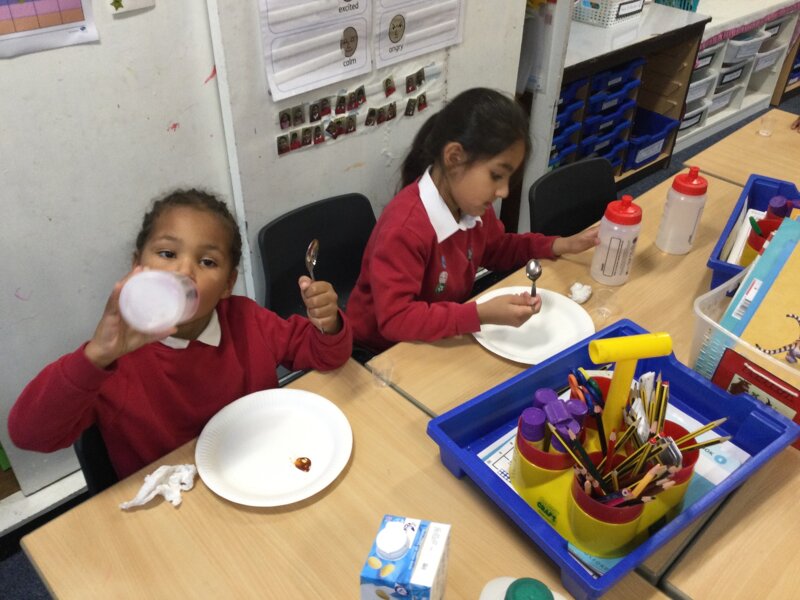 Image of Year 1 (Class 4) - Science - The Five Senses