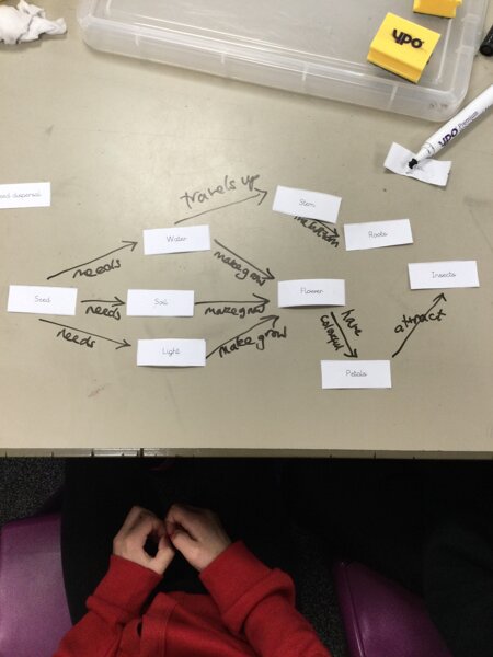 Image of Year 3 (Class 8) - Science - Concept Mapping