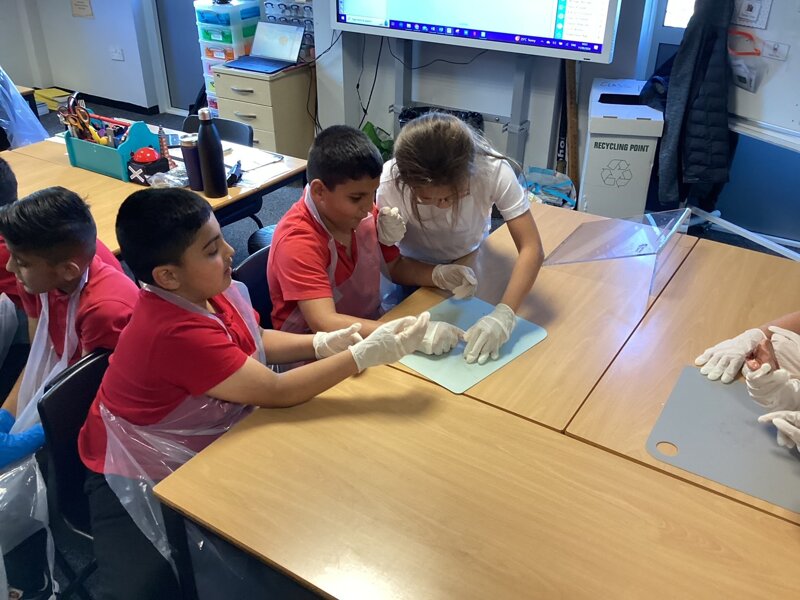 Image of Year 5 (Class 12) - Science - Dissecting Hearts