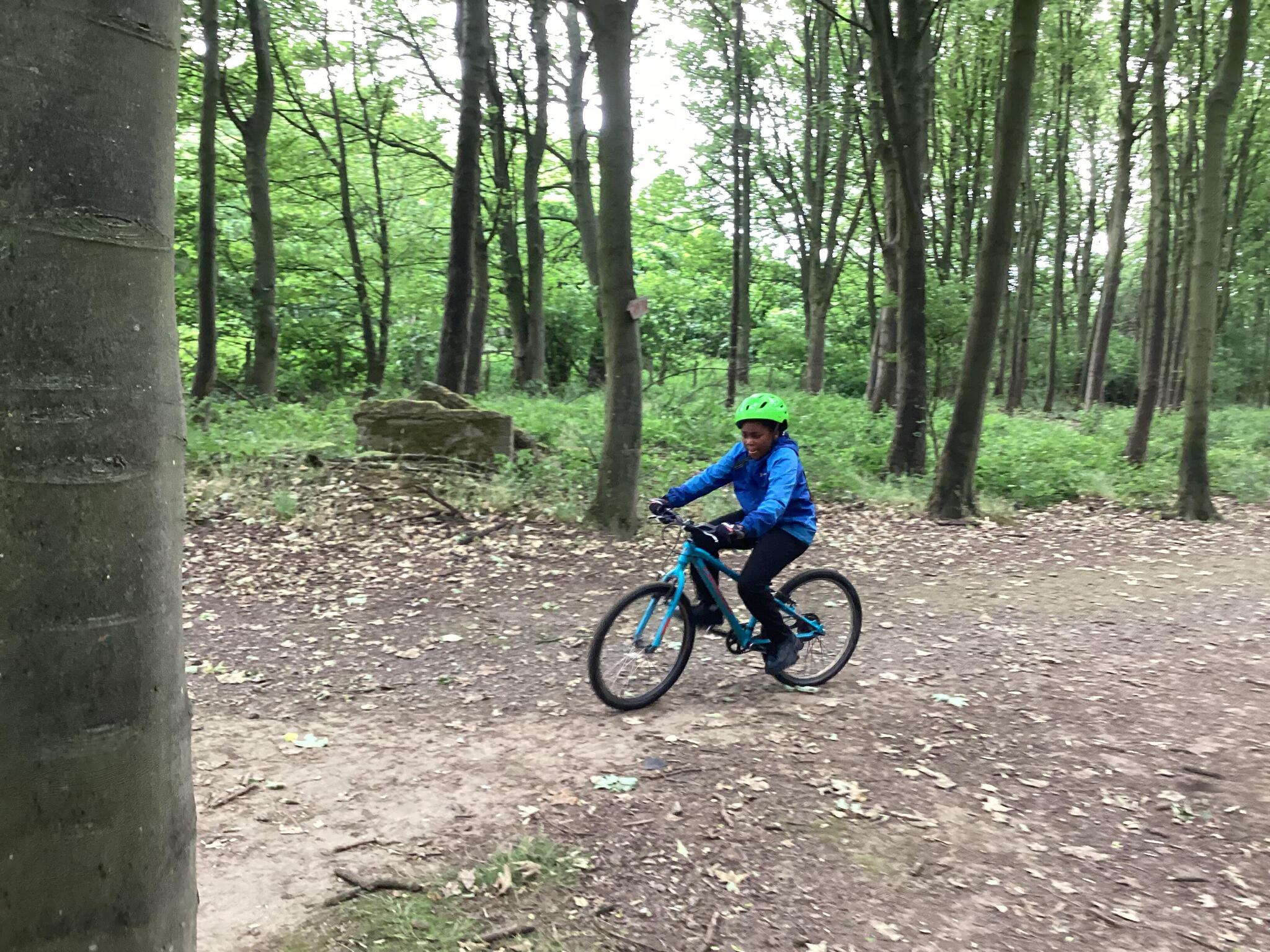 Image of Lineham Farm (Class 13 & Class 14) - Mountain Biking