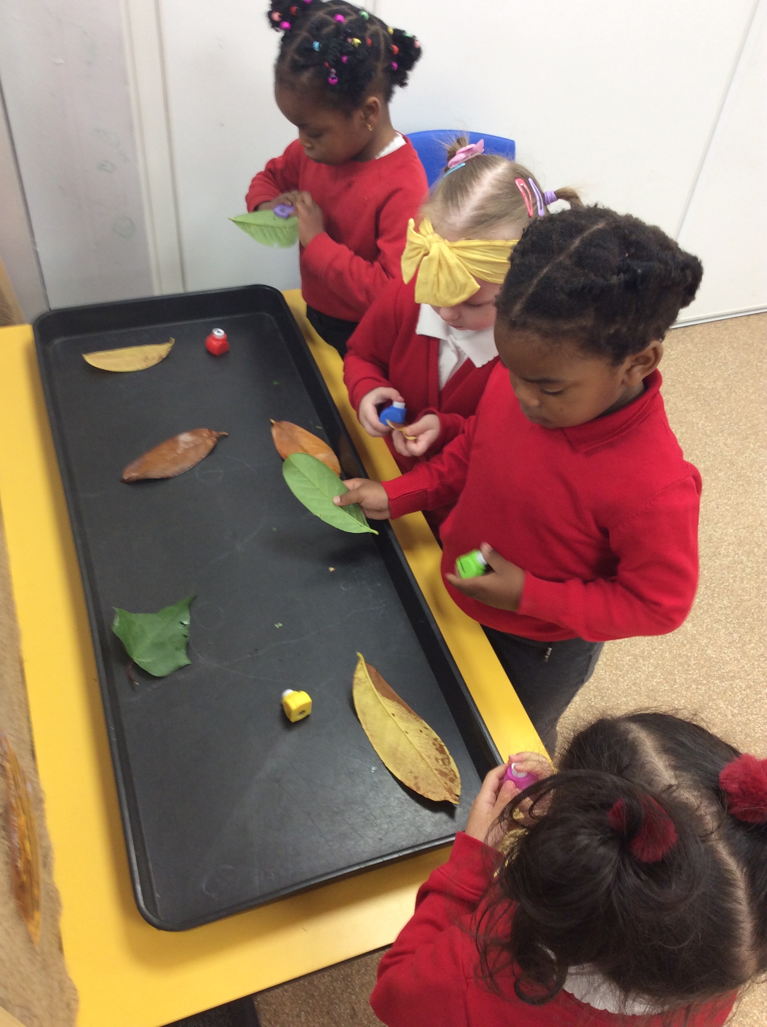 Image of Nursery - Learning about Autumn